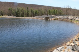 Views of Lower Owl Creek Dam, Tamaqua, 5-5-2014 (14)