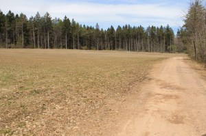 Views of Lower Owl Creek Dam, Tamaqua, 5-5-2014 (140)