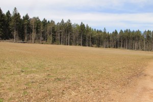 Views of Lower Owl Creek Dam, Tamaqua, 5-5-2014 (141)