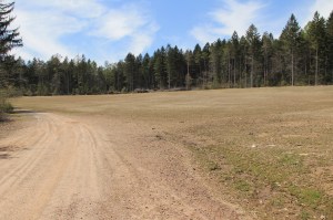 Views of Lower Owl Creek Dam, Tamaqua, 5-5-2014 (144)