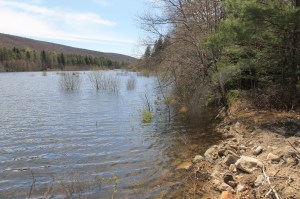 Views of Lower Owl Creek Dam, Tamaqua, 5-5-2014 (146)
