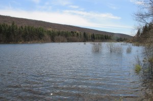 Views of Lower Owl Creek Dam, Tamaqua, 5-5-2014 (147)