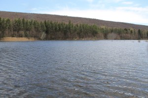 Views of Lower Owl Creek Dam, Tamaqua, 5-5-2014 (148)