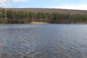 Views of Lower Owl Creek Dam, Tamaqua, 5-5-2014 (149)