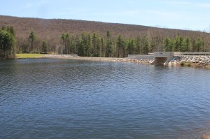 Views of Lower Owl Creek Dam, Tamaqua, 5-5-2014 (15)