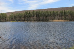 Views of Lower Owl Creek Dam, Tamaqua, 5-5-2014 (153)