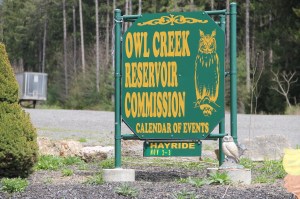 Views of Lower Owl Creek Dam, Tamaqua, 5-5-2014 (154)