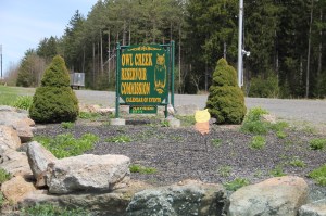 Views of Lower Owl Creek Dam, Tamaqua, 5-5-2014 (155)