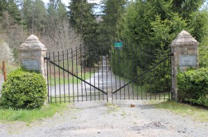 Views of Lower Owl Creek Dam, Tamaqua, 5-5-2014 (156)