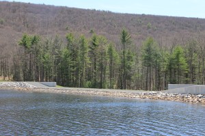 Views of Lower Owl Creek Dam, Tamaqua, 5-5-2014 (16)