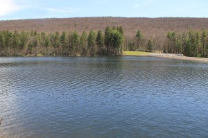 Views of Lower Owl Creek Dam, Tamaqua, 5-5-2014 (17)