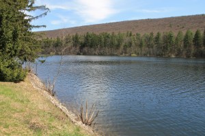Views of Lower Owl Creek Dam, Tamaqua, 5-5-2014 (19)