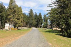 Views of Lower Owl Creek Dam, Tamaqua, 5-5-2014 (21)