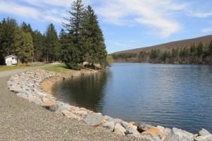 Views of Lower Owl Creek Dam, Tamaqua, 5-5-2014 (24)