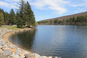 Views of Lower Owl Creek Dam, Tamaqua, 5-5-2014 (26)