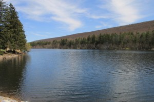 Views of Lower Owl Creek Dam, Tamaqua, 5-5-2014 (27)