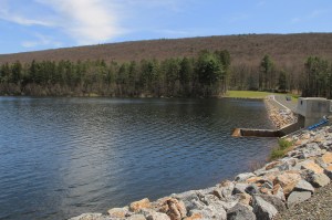 Views of Lower Owl Creek Dam, Tamaqua, 5-5-2014 (29)