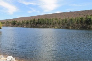 Views of Lower Owl Creek Dam, Tamaqua, 5-5-2014 (3)