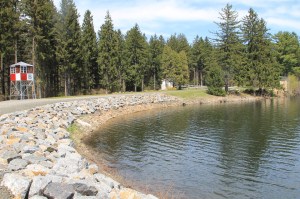 Views of Lower Owl Creek Dam, Tamaqua, 5-5-2014 (32)