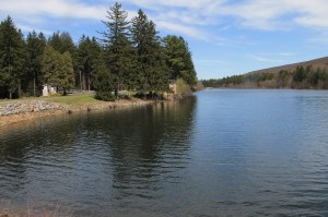 Views of Lower Owl Creek Dam, Tamaqua, 5-5-2014 (34)