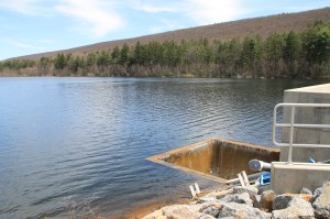 Views of Lower Owl Creek Dam, Tamaqua, 5-5-2014 (35)