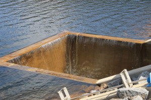 Views of Lower Owl Creek Dam, Tamaqua, 5-5-2014 (38)