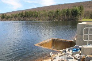 Views of Lower Owl Creek Dam, Tamaqua, 5-5-2014 (39)