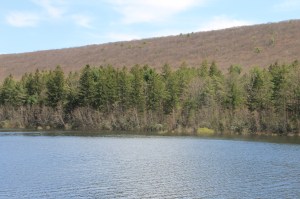 Views of Lower Owl Creek Dam, Tamaqua, 5-5-2014 (4)