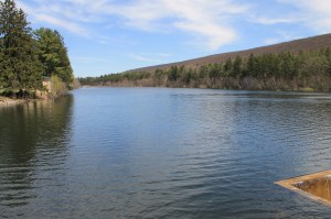 Views of Lower Owl Creek Dam, Tamaqua, 5-5-2014 (41)
