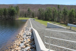 Views of Lower Owl Creek Dam, Tamaqua, 5-5-2014 (42)