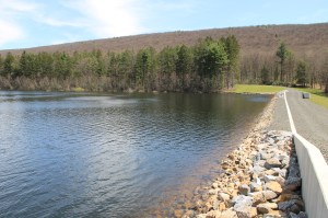 Views of Lower Owl Creek Dam, Tamaqua, 5-5-2014 (44)