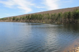 Views of Lower Owl Creek Dam, Tamaqua, 5-5-2014 (45)