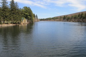 Views of Lower Owl Creek Dam, Tamaqua, 5-5-2014 (48)