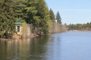 Views of Lower Owl Creek Dam, Tamaqua, 5-5-2014 (49)