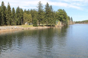 Views of Lower Owl Creek Dam, Tamaqua, 5-5-2014 (51)