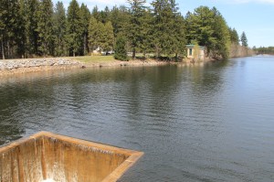 Views of Lower Owl Creek Dam, Tamaqua, 5-5-2014 (55)