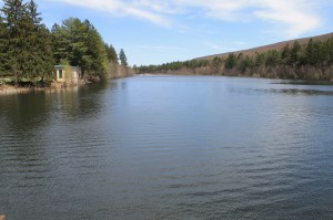 Views of Lower Owl Creek Dam, Tamaqua, 5-5-2014 (56)