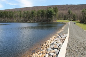 Views of Lower Owl Creek Dam, Tamaqua, 5-5-2014 (57)