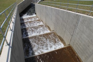 Views of Lower Owl Creek Dam, Tamaqua, 5-5-2014 (64)