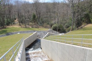 Views of Lower Owl Creek Dam, Tamaqua, 5-5-2014 (66)