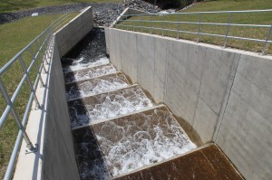 Views of Lower Owl Creek Dam, Tamaqua, 5-5-2014 (67)