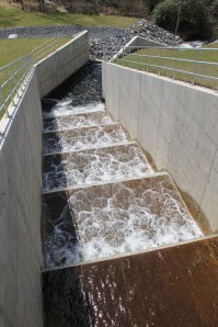 Views of Lower Owl Creek Dam, Tamaqua, 5-5-2014 (68)