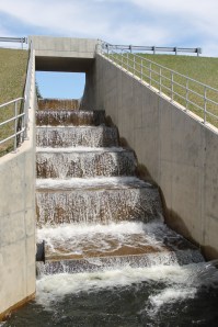 Views of Lower Owl Creek Dam, Tamaqua, 5-5-2014 (69)