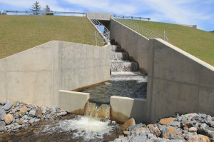 Views of Lower Owl Creek Dam, Tamaqua, 5-5-2014 (73)