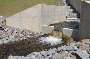 Views of Lower Owl Creek Dam, Tamaqua, 5-5-2014 (79)