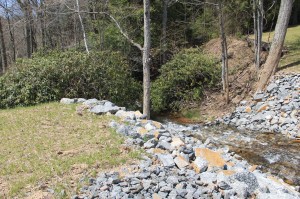 Views of Lower Owl Creek Dam, Tamaqua, 5-5-2014 (81)