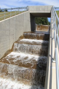 Views of Lower Owl Creek Dam, Tamaqua, 5-5-2014 (83)