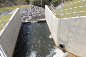 Views of Lower Owl Creek Dam, Tamaqua, 5-5-2014 (84)