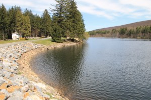 Views of Lower Owl Creek Dam, Tamaqua, 5-5-2014 (88)