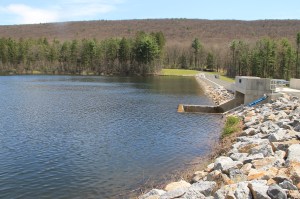 Views of Lower Owl Creek Dam, Tamaqua, 5-5-2014 (89)